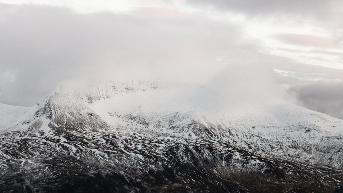 Olav: Exploring the Heritage and Majesty of a Storied Nordic Name - Oli Prik Copenhagen