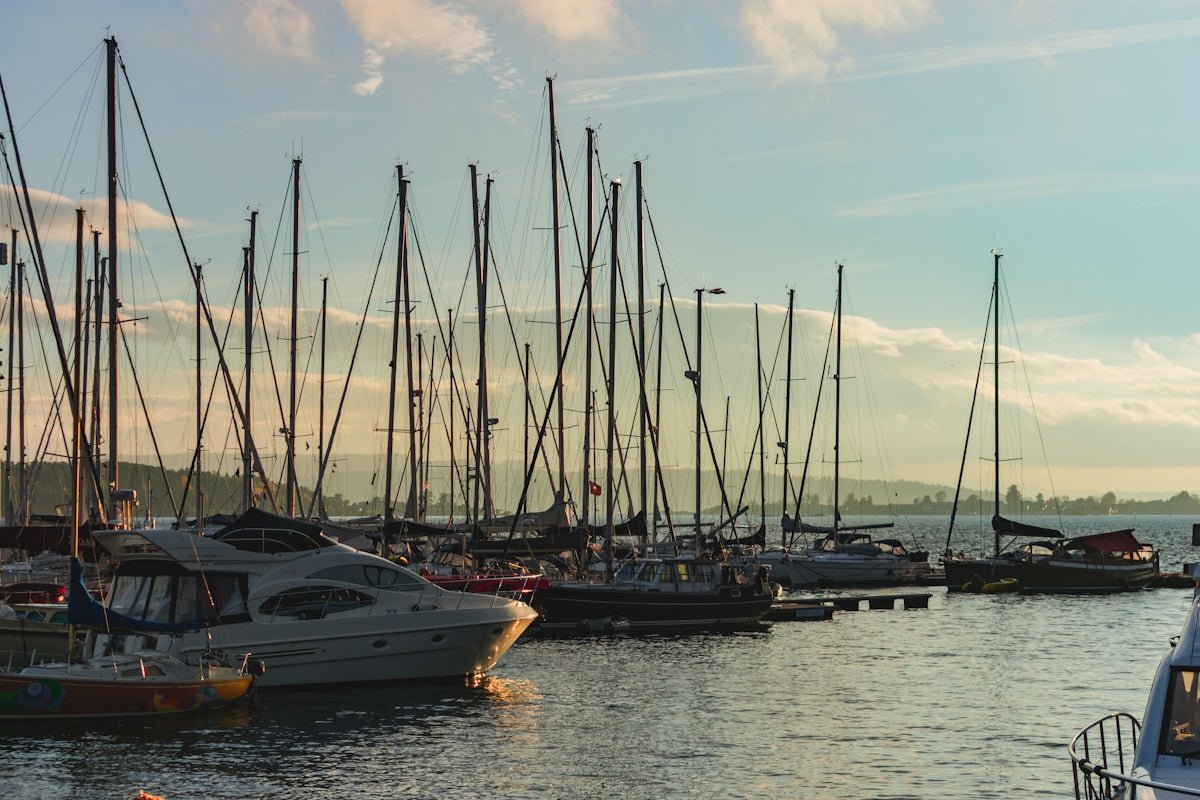 Ragnvald: Regal Inspirations and the Legacy of Nordic Leadership - Oli Prik Copenhagen