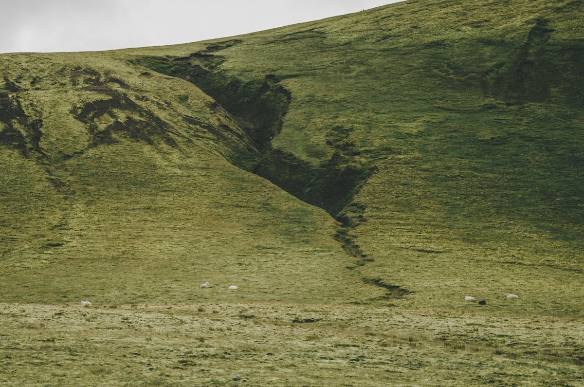 The Hidden Meanings Behind Scandinavian Baby Names - Oli Prik Copenhagen