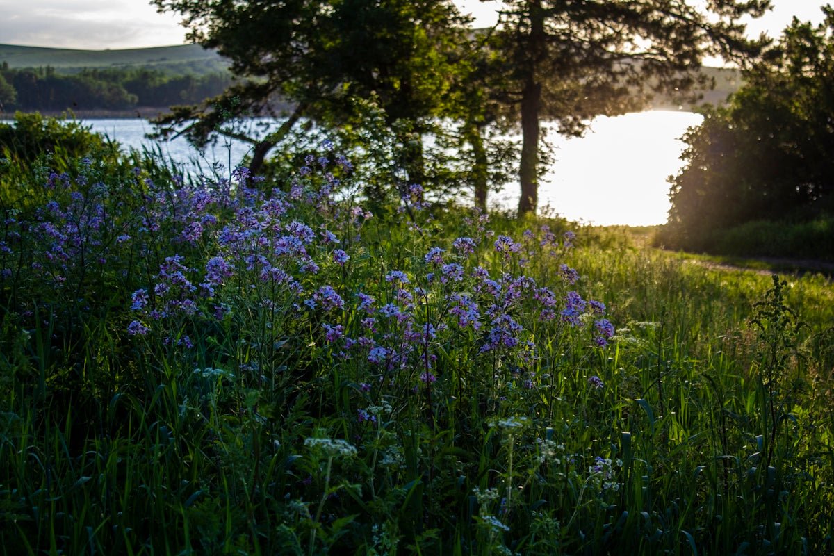 Tuva: Delve into the Stunning Power and Affinity of This Nordic Delight - Oli Prik Copenhagen