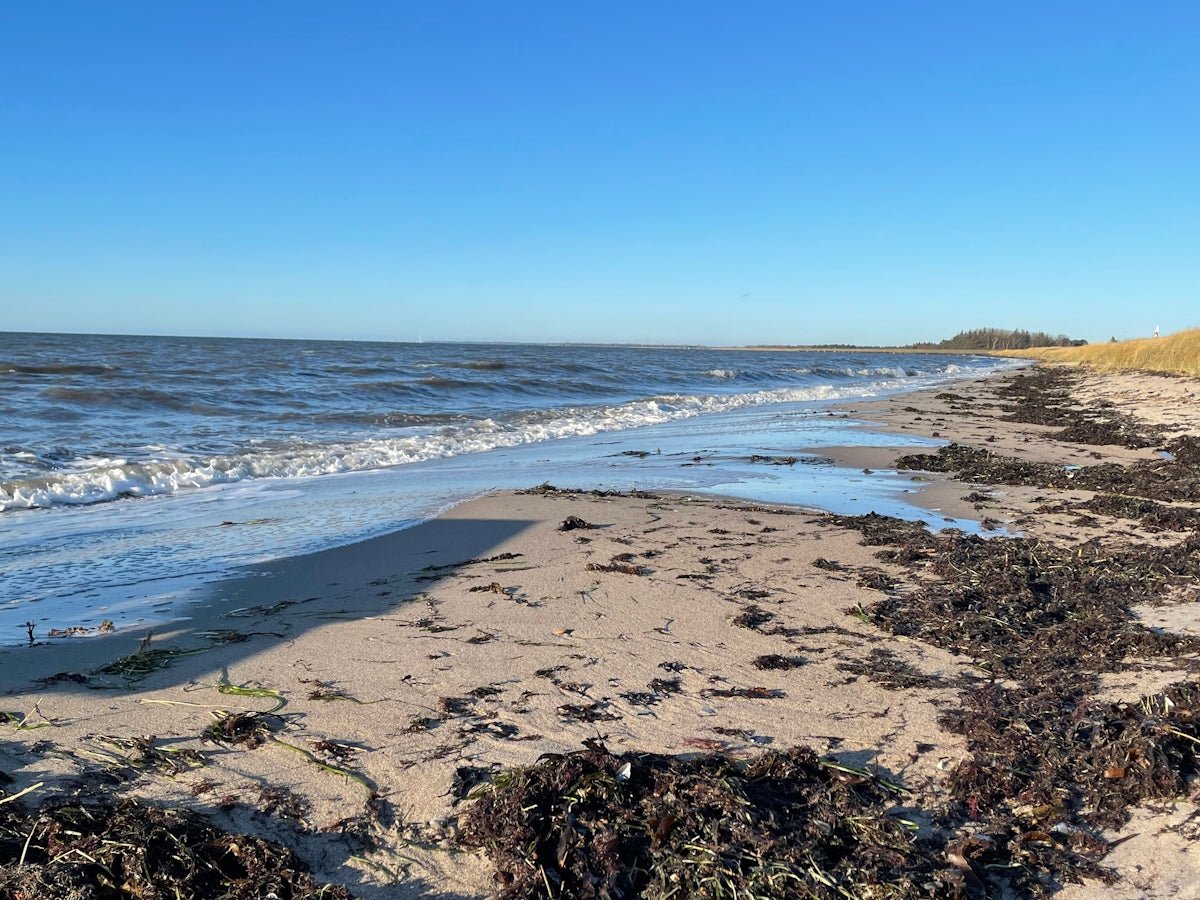 Torbjorn: Combining Thunder and Teddy in a Unique Scandinavian Name - Oli Prik Copenhagen