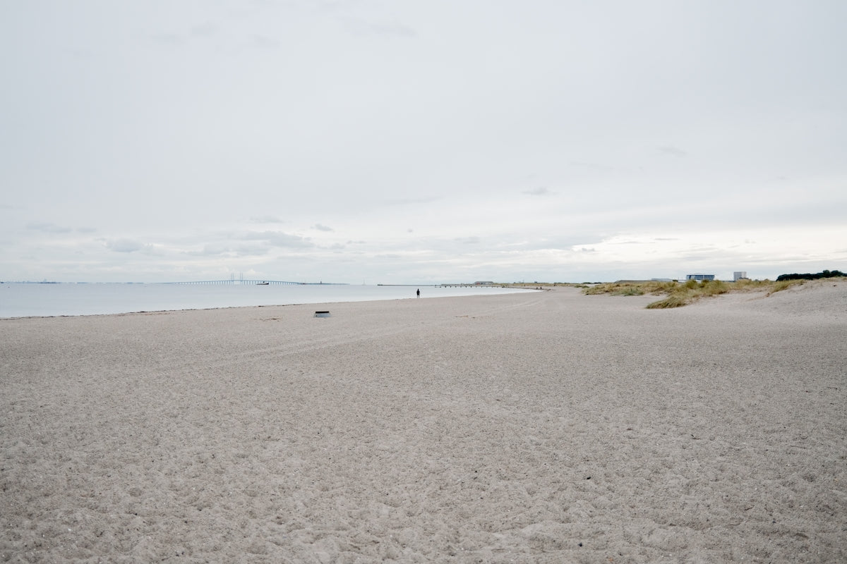 a person walking on a beach near the ocean