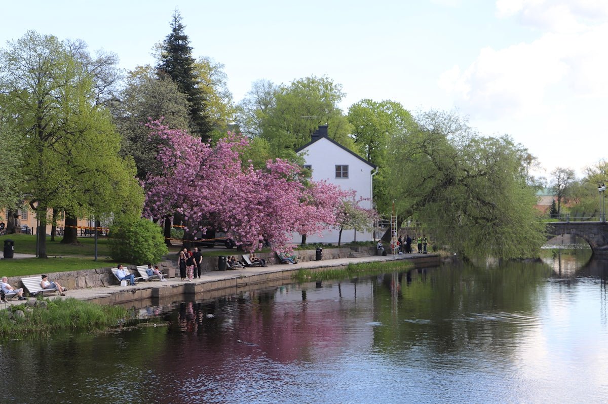 Filippa: Revealing the Escaping River's Wisdom and Danish Royal Appeal - Oli Prik Copenhagen