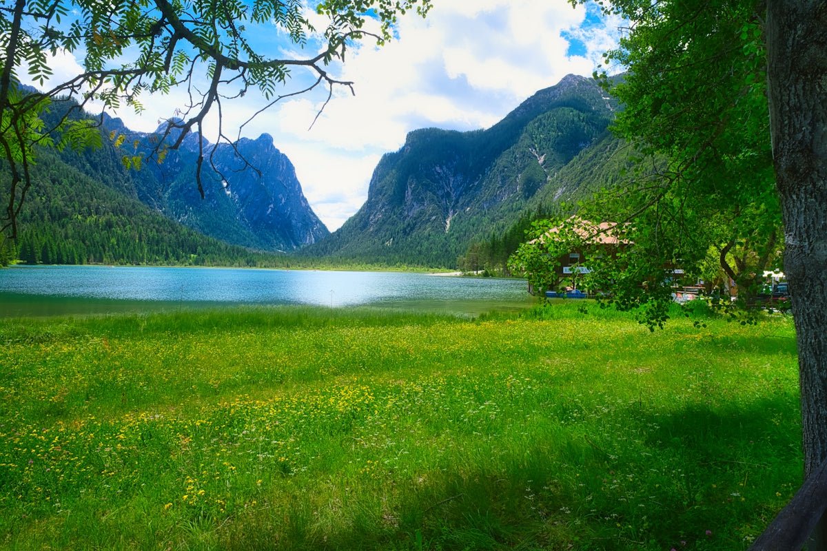 Katrine: Exploring the Pure and Blessed Heritage of This Endearing Nordic Name - Oli Prik Copenhagen