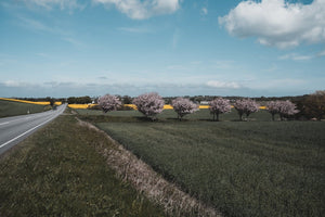 Annelise: Unveiling Grace and Joy in the Fusion of Norse Traditions - Oli Prik Copenhagen