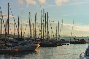 Ragnvald: Regal Inspirations and the Legacy of Nordic Leadership - Oli Prik Copenhagen