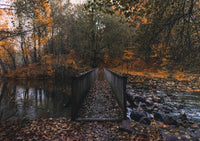 brown wooden bridge over river surrounded by trees