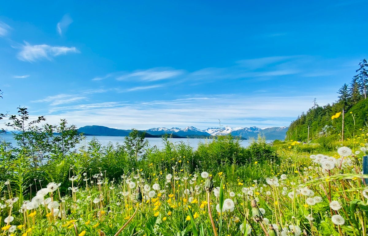 Kirsten: Discover the Christian Legacy Woven into This Danish Jewel - Oli Prik Copenhagen