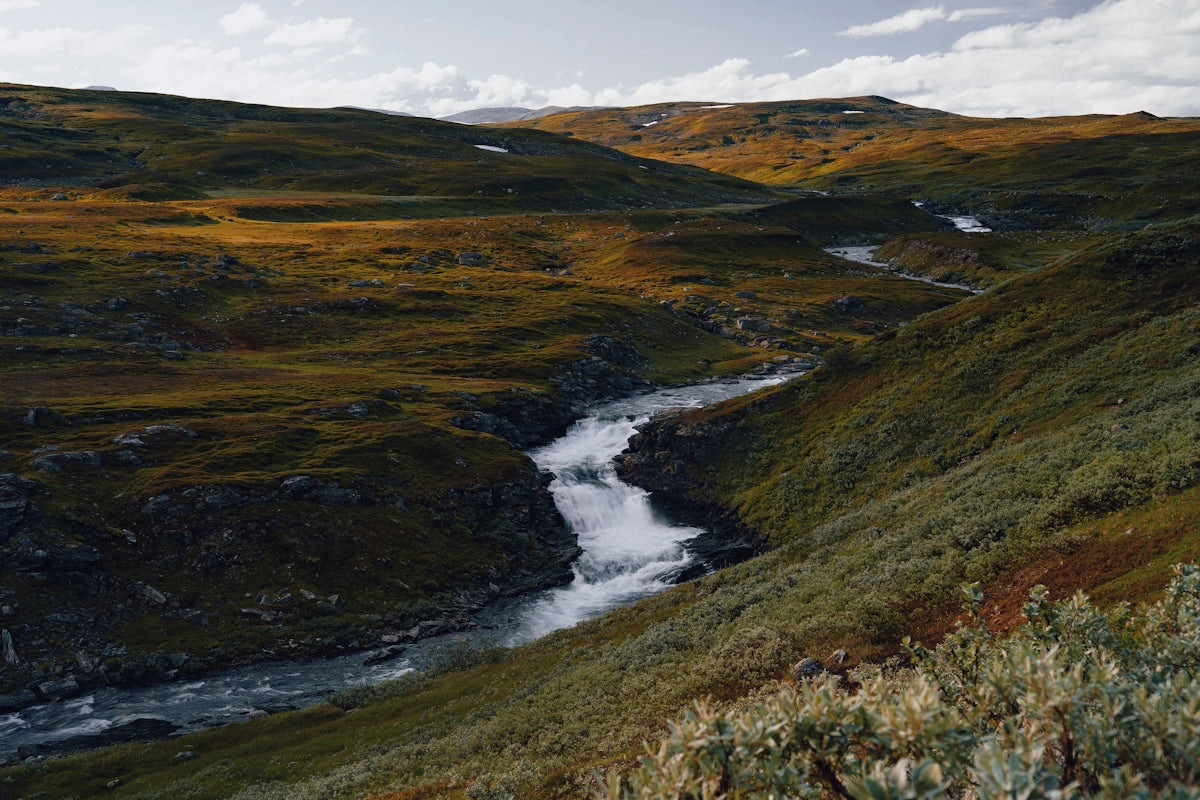 a stream running through a lush green hillside