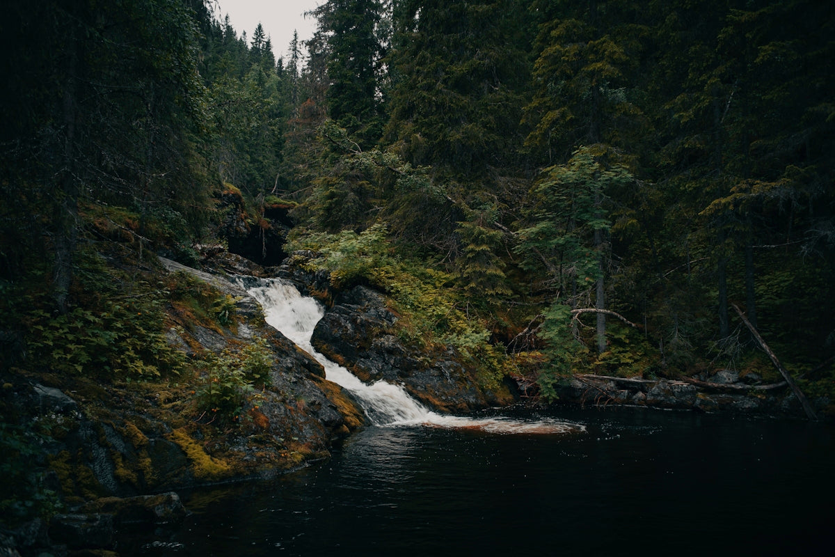 a waterfall in the middle of a forest