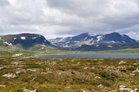 The Fascinating World of Finnish Baby Names Spanning Generations - Oli Prik Copenhagen