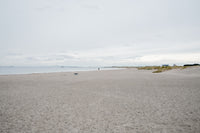 a person walking on a beach near the ocean