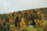 a house in the middle of a forest surrounded by trees