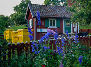 Solveig: Journey Through the Sunshine Path of Nordic Musical Charm - Oli Prik Copenhagen