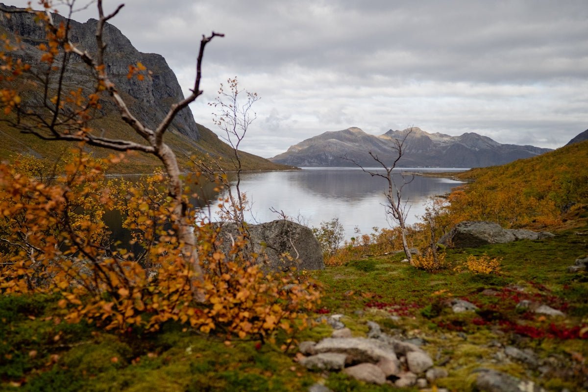 Unearth Popular Baby Names from Scandinavia and Their Meanings - Oli Prik Copenhagen