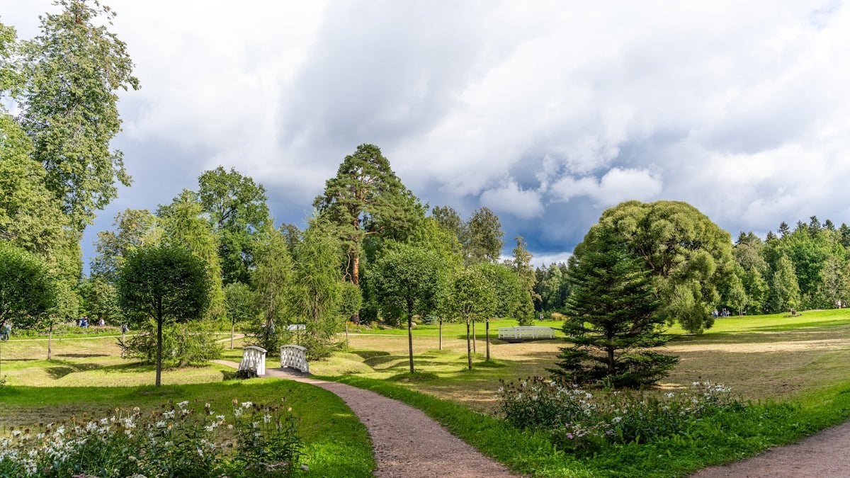 Ronja: Luring Into the Mountainous Depths and Adventures Cultivated Within This Nordic Tale - Oli Prik Copenhagen