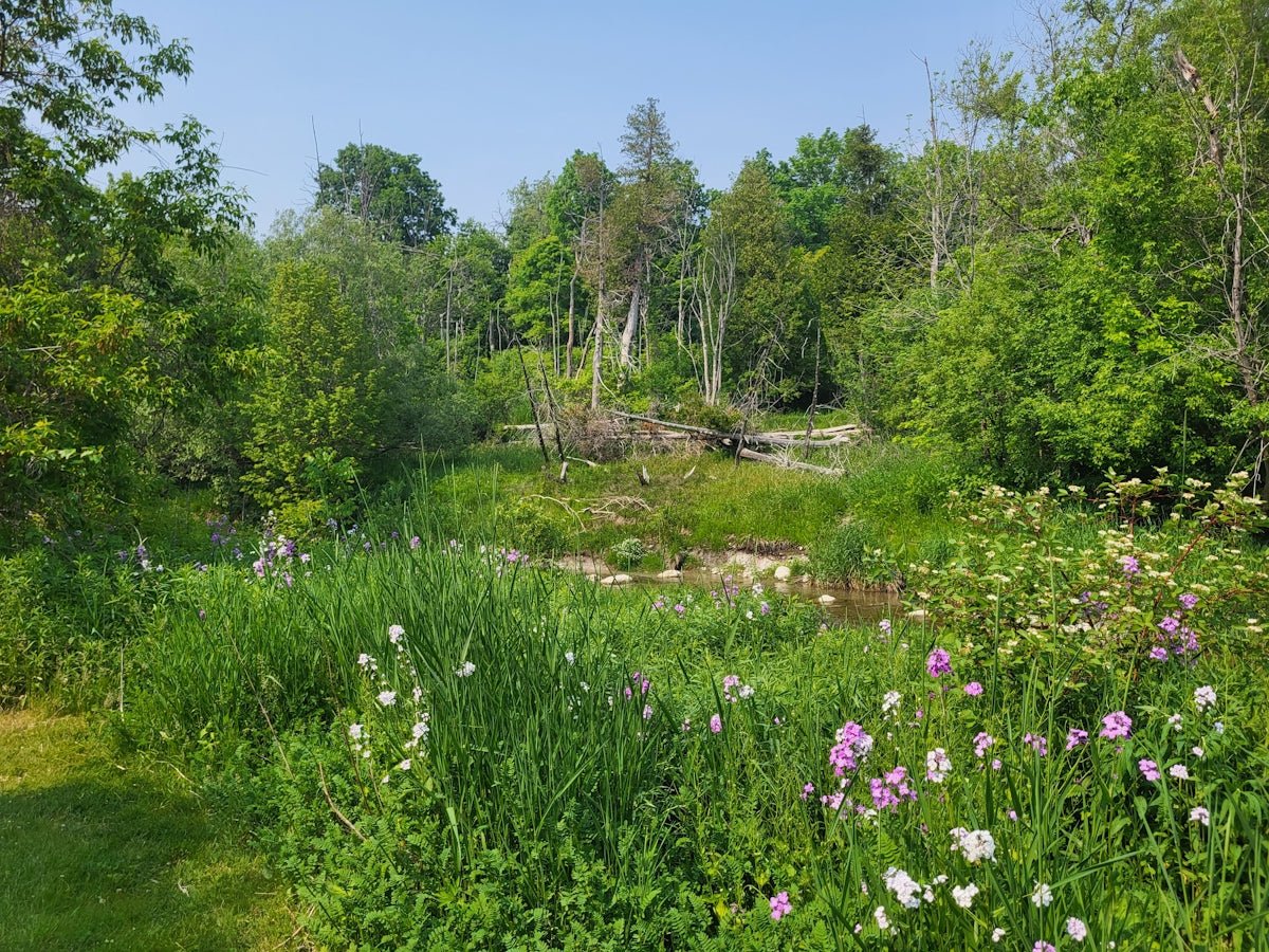 Liv: Celebrating the Life-Giving Essence of This Viking Legacy - Oli Prik Copenhagen